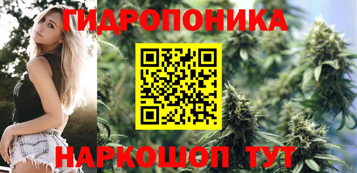 Бошки марихуана Ganja Великий Устюг